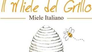 MIELE del GRILLO